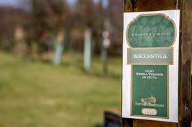 Fattoria Di Rimezzano