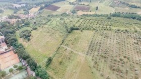 Fattoria Di Rimezzano