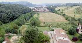 Fattoria Di Rimezzano