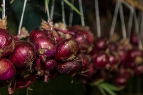 Fattoria Di Rimezzano