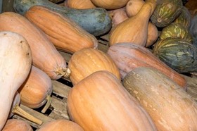 Fattoria Di Rimezzano
