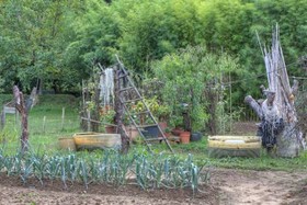 Fattoria Di Rimezzano