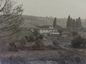 Fattoria Di Rimezzano