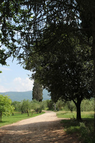 La Cascianella