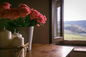 Il Vignolino Bed and Breakfast