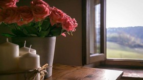 Il Vignolino Bed and Breakfast