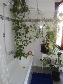 Casa Bice B&B