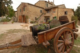 Fattoria Casa Sola