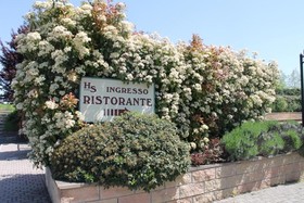 Semifonte