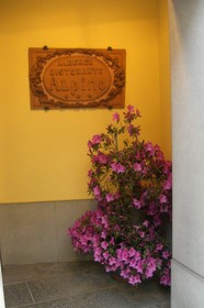 Hotel Alpino