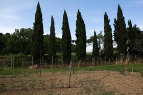 Agriturismo La Topaia