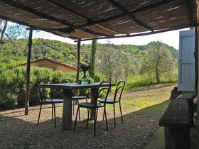 Petrolo
