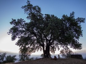 Montebelli Agriturismo & Country Hotel