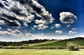 Montebelli Agriturismo & Country Hotel