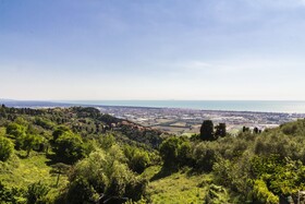 Panorama Pedona