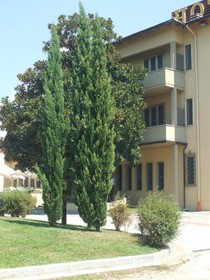 Hotel Bisenzio