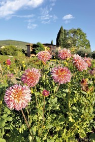 Villa La Massa