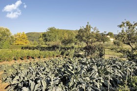 Villa La Massa