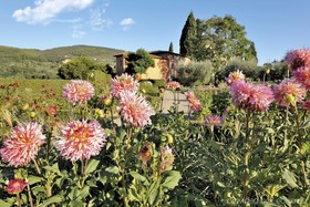 Villa La Massa