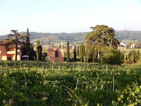 Agriturismo Santo Pietro