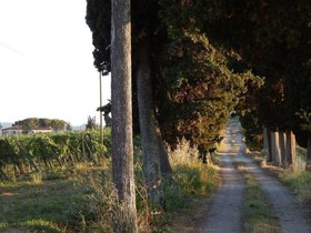 Agriturismo Santo Pietro