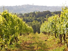 Agriturismo Santo Pietro