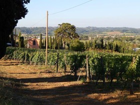 Agriturismo Santo Pietro