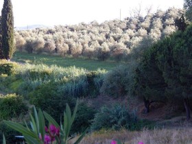 Agriturismo Santo Pietro