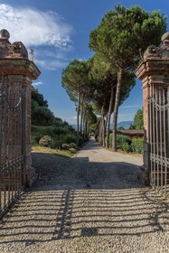 Coselli's Luxury Villas