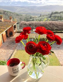 Agriturismo Cantagallo