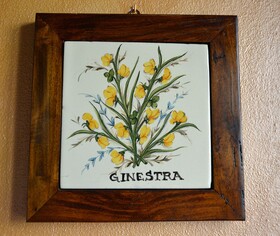 Agriturismo Cantagallo