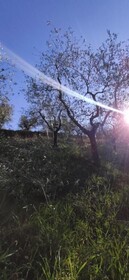 Agriturismo Sotto La Rocca