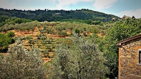 Agriturismo Tananei