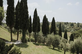Villa Delia Hotel & Cooking School