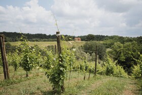 Villa Delia Hotel & Cooking School