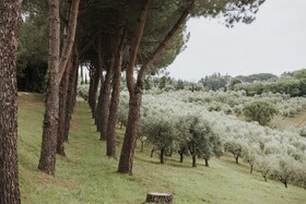 Villa Delia Hotel & Cooking School