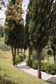 Villa Delia Hotel & Cooking School