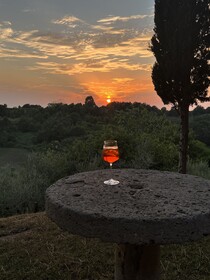 Villa Delia Hotel & Cooking School