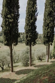 Villa Delia Hotel & Cooking School