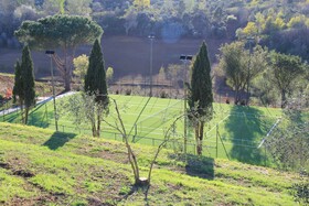 Villa Delia Hotel & Cooking School