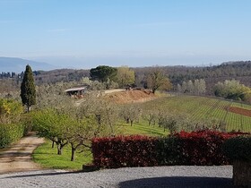 Villa Delia Hotel & Cooking School