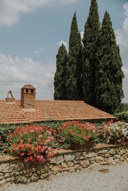 Villa Delia Hotel & Cooking School