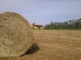 Il Chiassetto