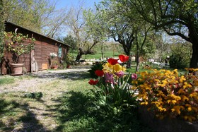 Agriturismo Grecinella