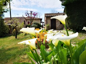 Agriturismo Grecinella