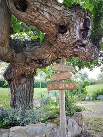 Agriturismo Grecinella