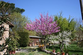 Agriturismo Grecinella