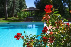 Borgo Mucellena