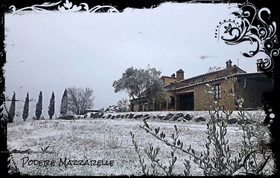 Podere Mazzarelle