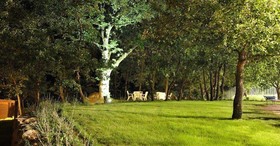 Terre Gialle